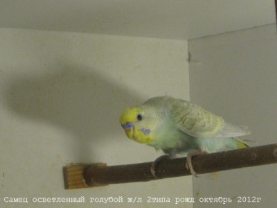 IMG_4482.JPG
