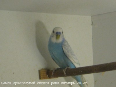 IMG_4484.JPG