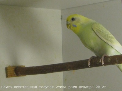 IMG_4511.JPG