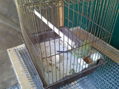20130720_104919_новый размер.jpg