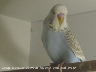 IMG_4407.JPG