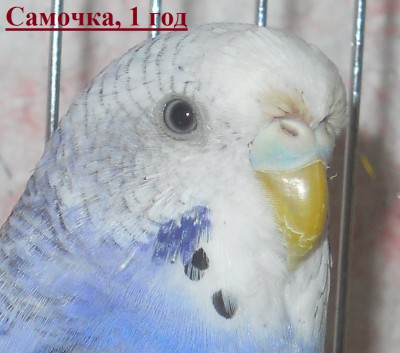 DSCN3350.JPG