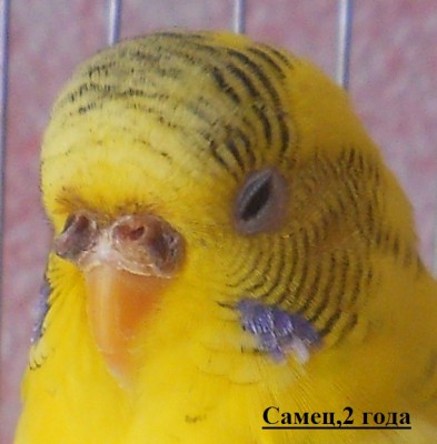 DSCN3351.JPG