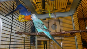 2013-01-27-280.jpg