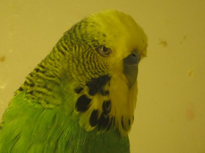 IMG_4745.JPG