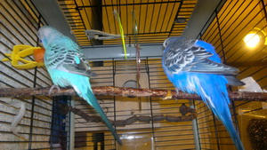 2013-01-27-310.jpg