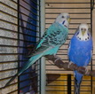 2013-01-27-267.jpg