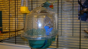2013-01-27-304.jpg