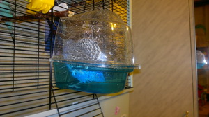 2013-01-27-314.jpg