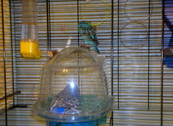 2013-01-27-300.jpg