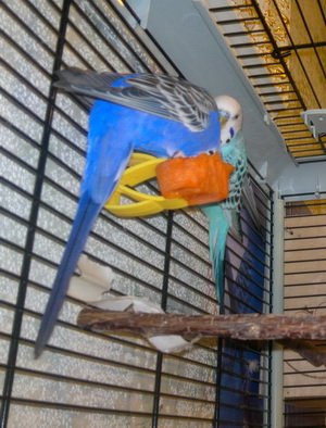 2013-01-27-277.jpg