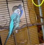 2013-01-27-271.jpg