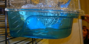 2013-01-27-311.jpg