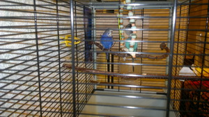 2013-01-27-269.jpg