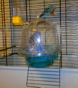 2013-01-27-301.jpg