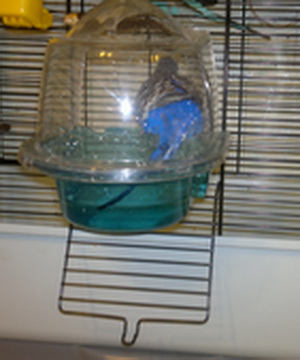 2013-01-27-299.jpg