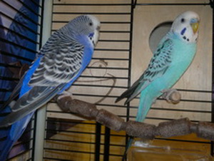 2013-01-27-297.jpg