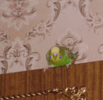 DSC01404.JPG