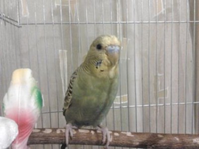 2012-08-24 22.16.21.jpg