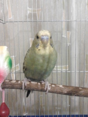 2012-08-24 22.17.18.jpg