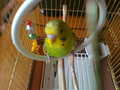 26082013352.jpg