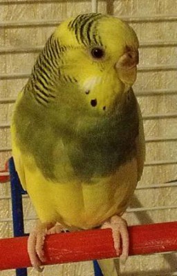IMAG0376.jpg