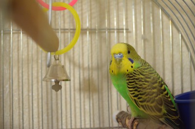 DSC_1139.JPG