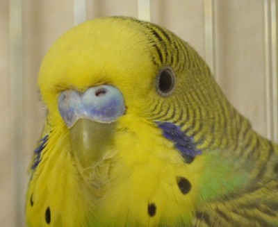 DSC_1140.jpg