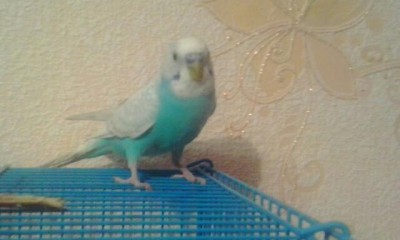 2013-10-02 16.27.57-1.jpg