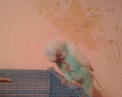2013-10-02 16.27.22-1.jpg