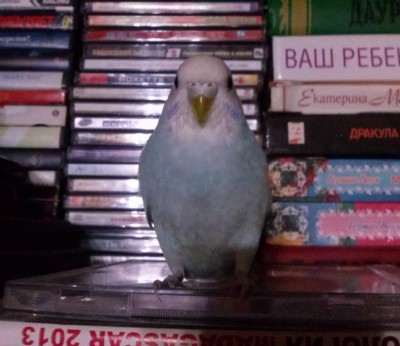 CAM00134.jpg