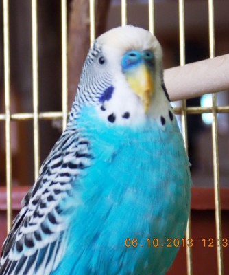 DSCN4668.JPG