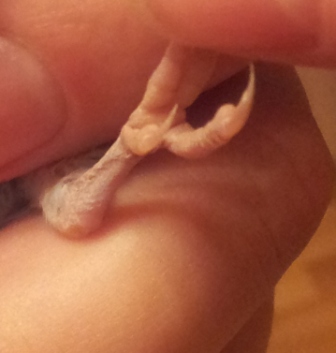 20131008_202157.jpg