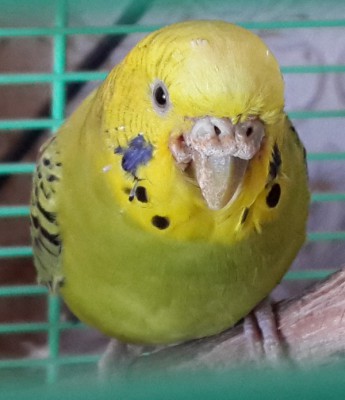 20131015_182025_6.jpg