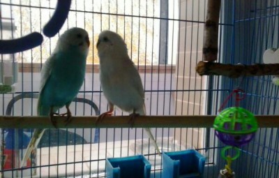 2013-10-18 13.30.24-1.jpg