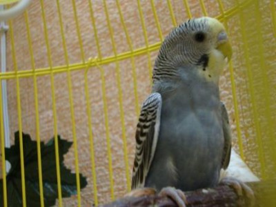DSC02344.JPG