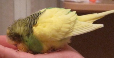 IMG_3287.JPG
