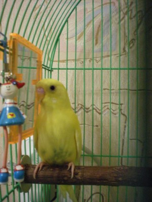 DSCN8313.JPG