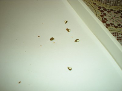DSCN8390.JPG
