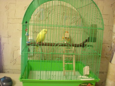 DSCN8393.JPG