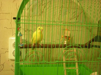 DSCN8395.JPG
