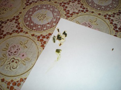 DSCN8399.JPG
