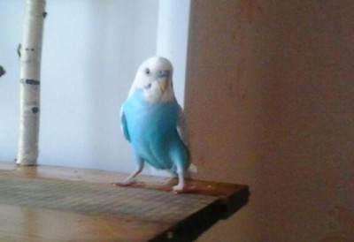 2013-10-31 13.02.50-1.jpg