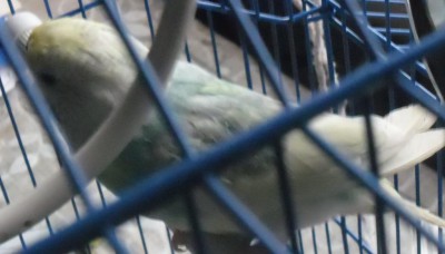 SAM_1634.JPG