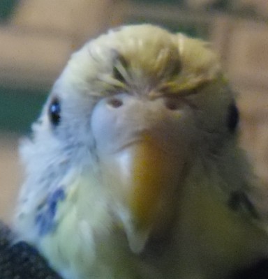SAM_1640.JPG