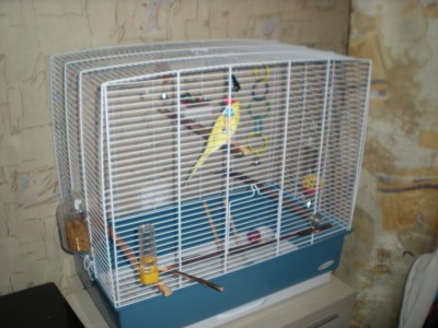 DSCN8467.JPG