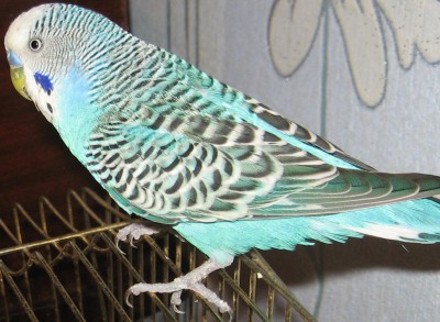 IMG_6466.jpg