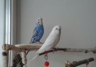2013-12-01 12.32.41-1.jpg