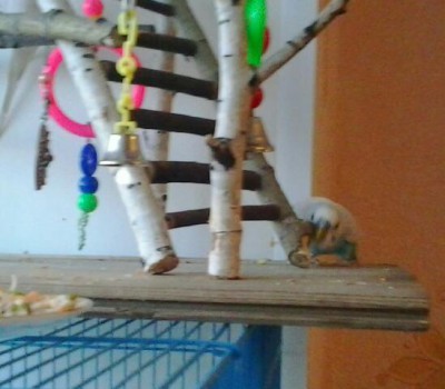 2013-12-04 16.01.09-1.jpg