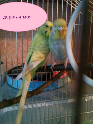 PicsArt_1386566438942.jpg